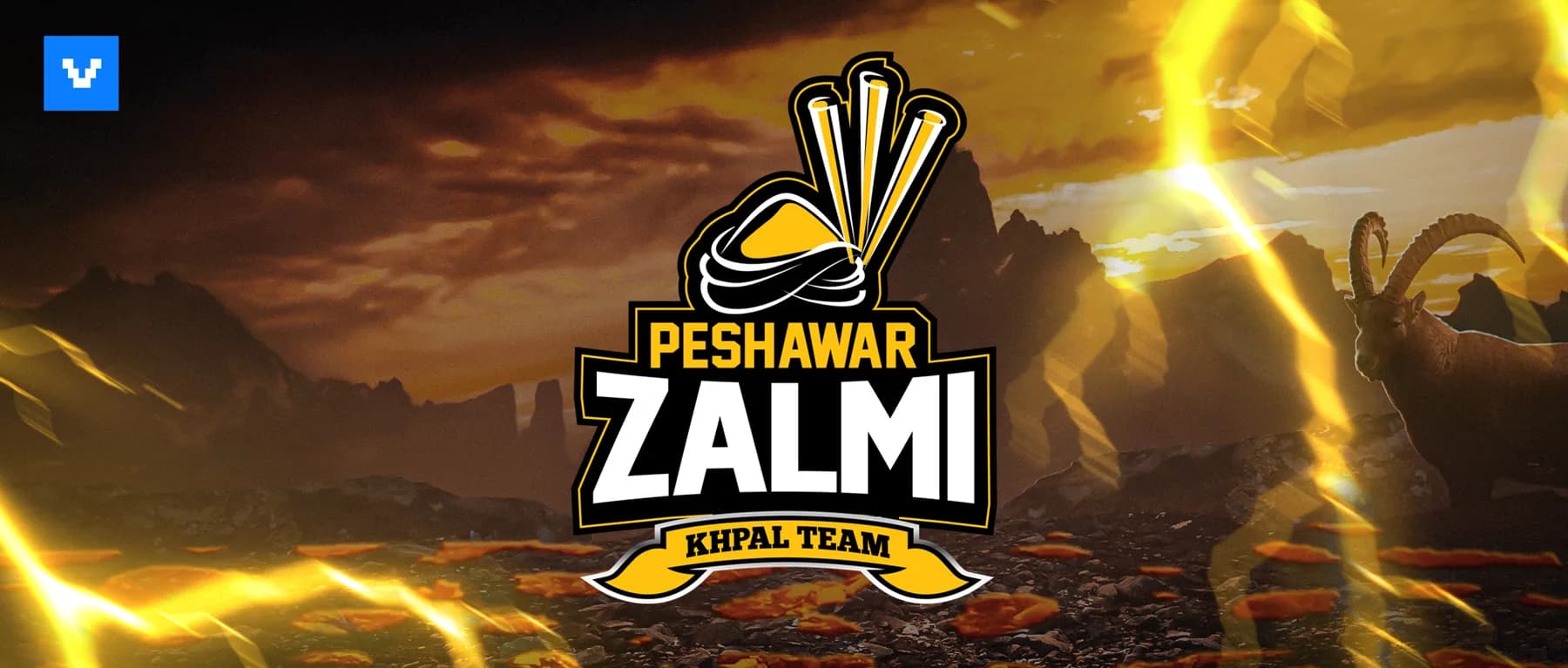 Peshawar Zalmi Posters - PSL 8, artwork 1